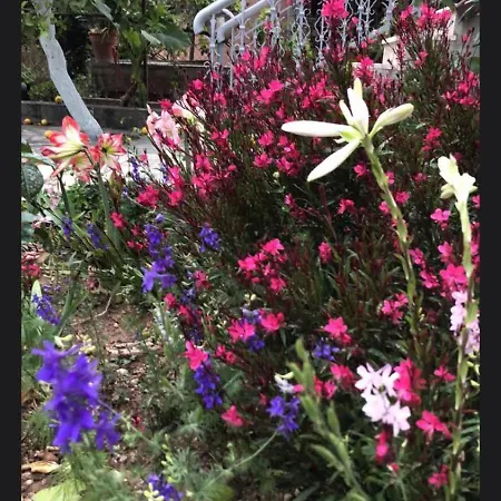 Apartman Aigeira Seafront Vacation 0 Floor *