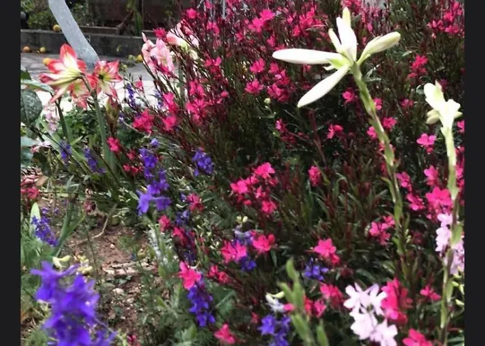 Apartment Aigeira Seafront Vacation 0 Floor *